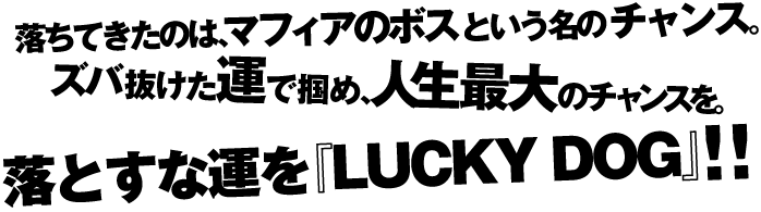 落ちてきたのは、マフィアのボスという名のチャンス。 ズバ抜けた運で掴め、人生最大のチャンスを。 落とすな運を『LUCKY DOG』!!